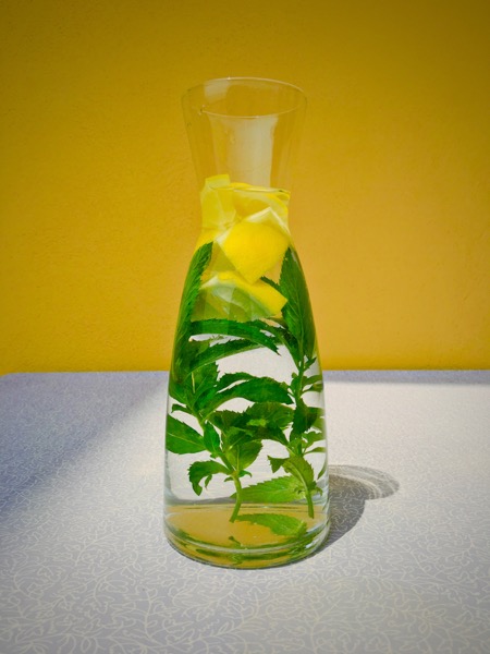 Carafe with Mint and Lemon Water by Jens Haas