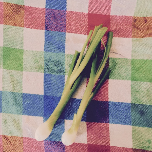 Scallions on Kitchen Towel by Jens Haas